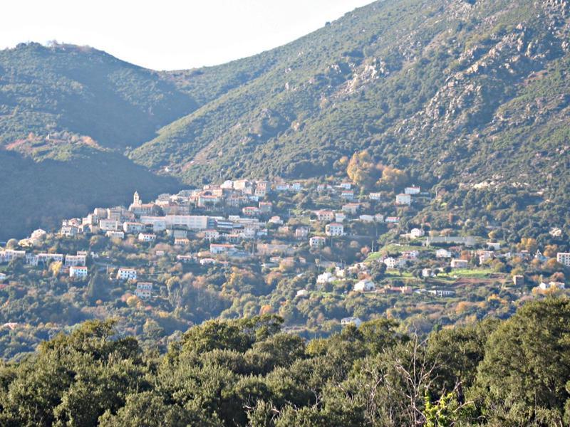 Villa Angelini Valle-di-Campoloro ภายนอก รูปภาพ