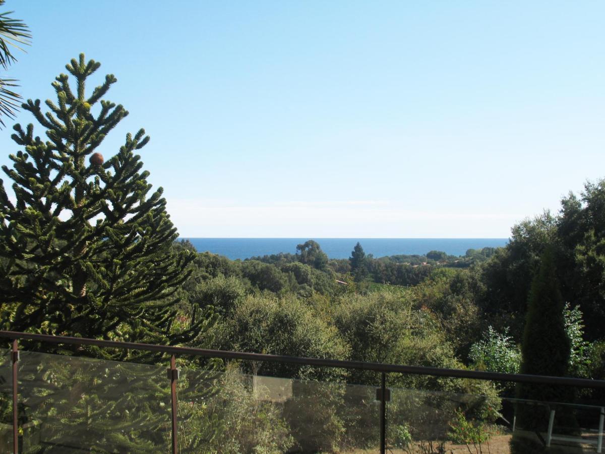 Villa Angelini Valle-di-Campoloro ภายนอก รูปภาพ